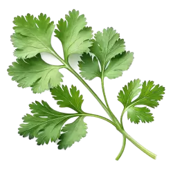 Imagen PNG para descargar